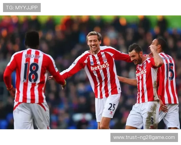 斯托克城足球俱乐部历史荣誉与发展现状深度剖析